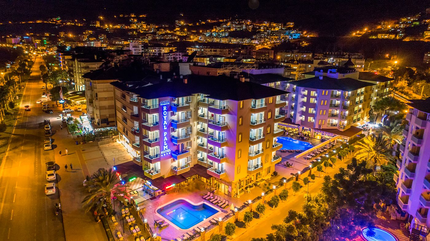 Kleopatra Royal Palm