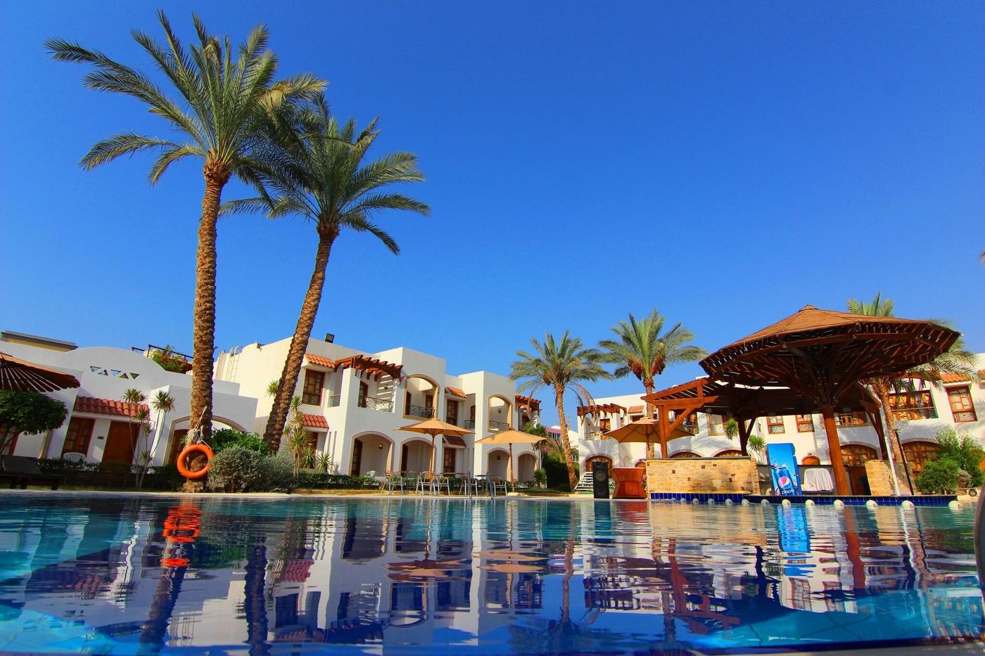 Coral-Hills-Sharm-Pool-8