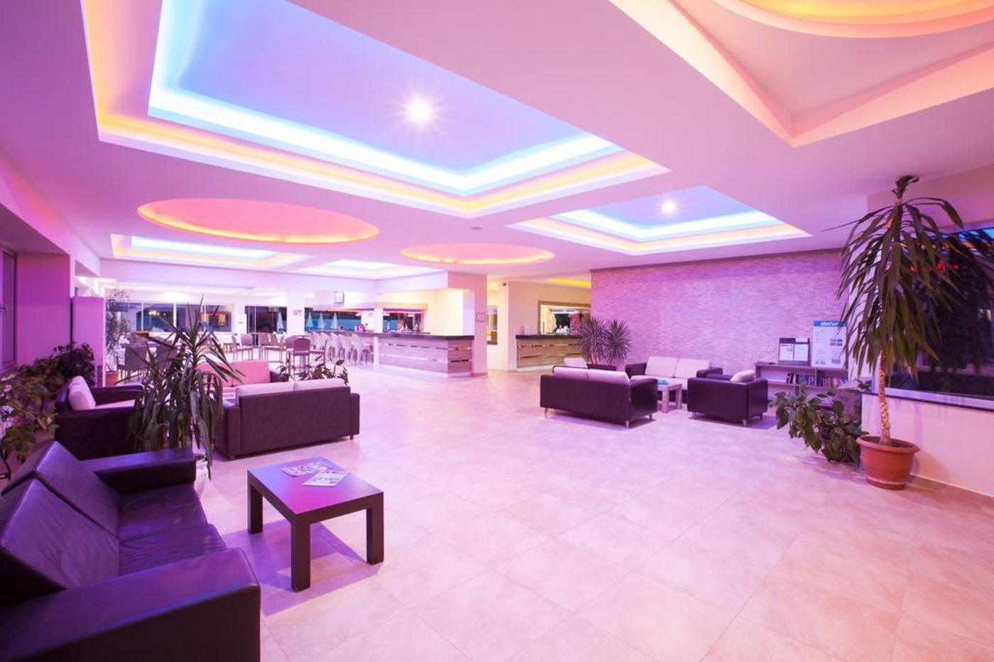 Hotel-Catty-Cats-Garden-Lobby-42