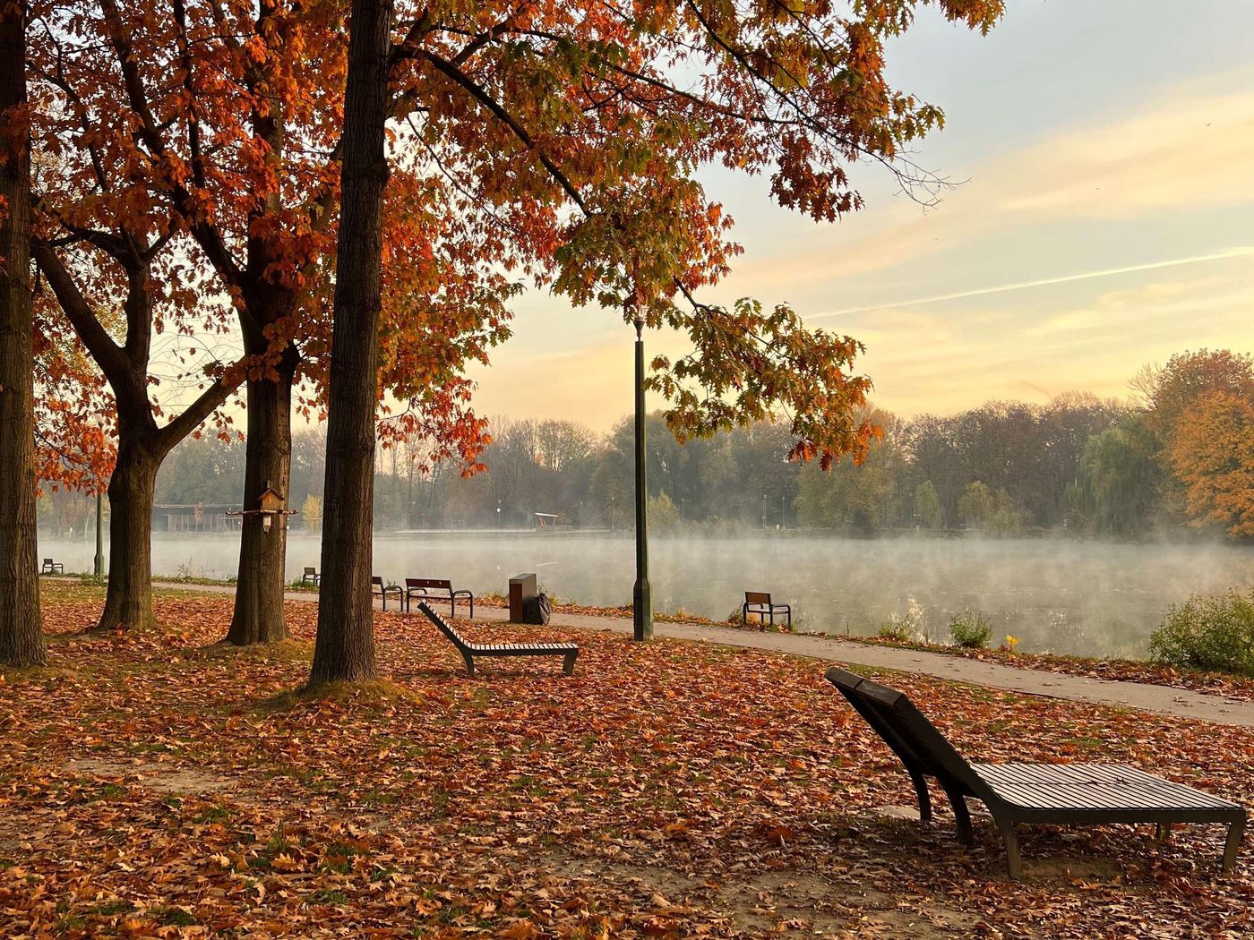 Ibis-Styles-Krakow-East-Sports-and-Entertainment-11