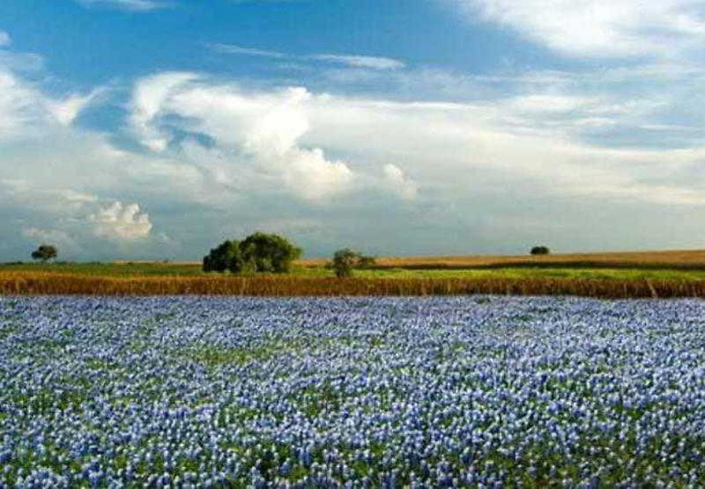 Courtyard Houston Downtown/Convention Center-United States-HOUSTON-General view-9