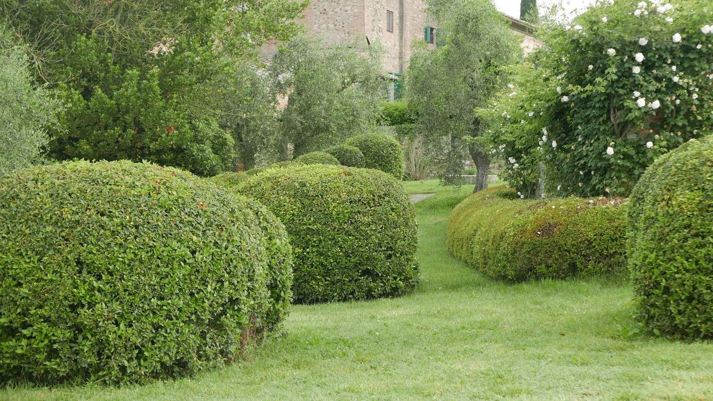 CA-Bianca-General-view-60