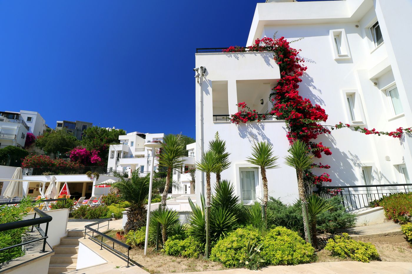 Club Pedalisa Apartments