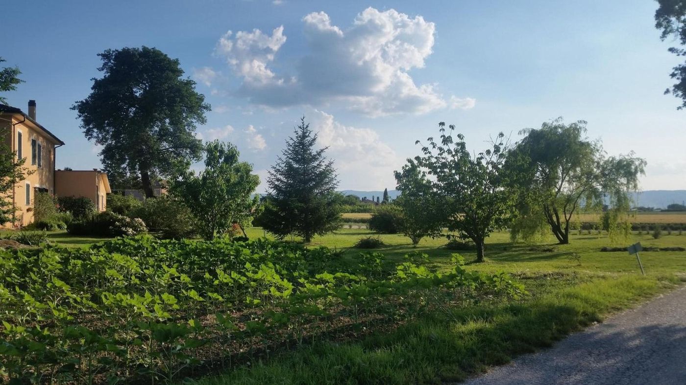 Bed And Breakfast Le Rose-Italy-SPELLO-General view-9