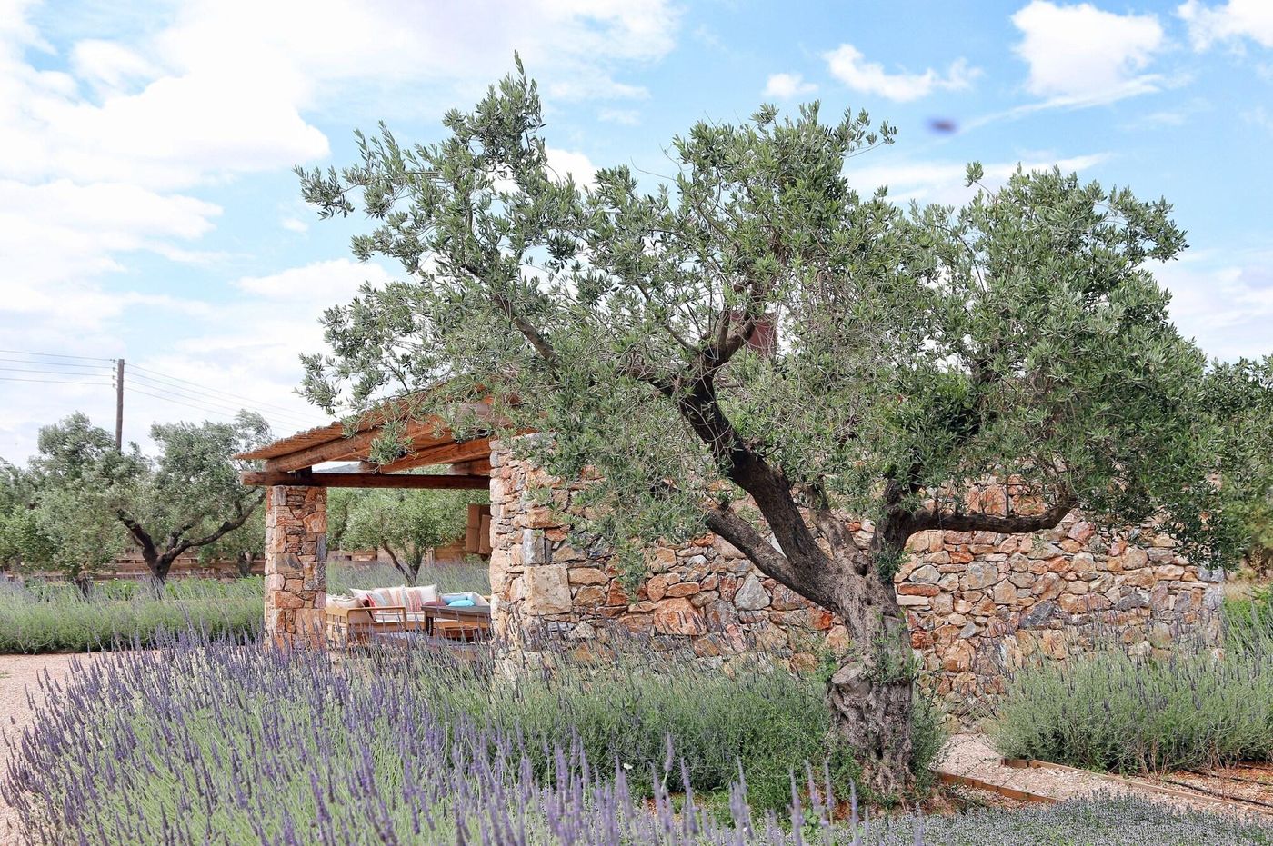 The-Margi-General-view-89