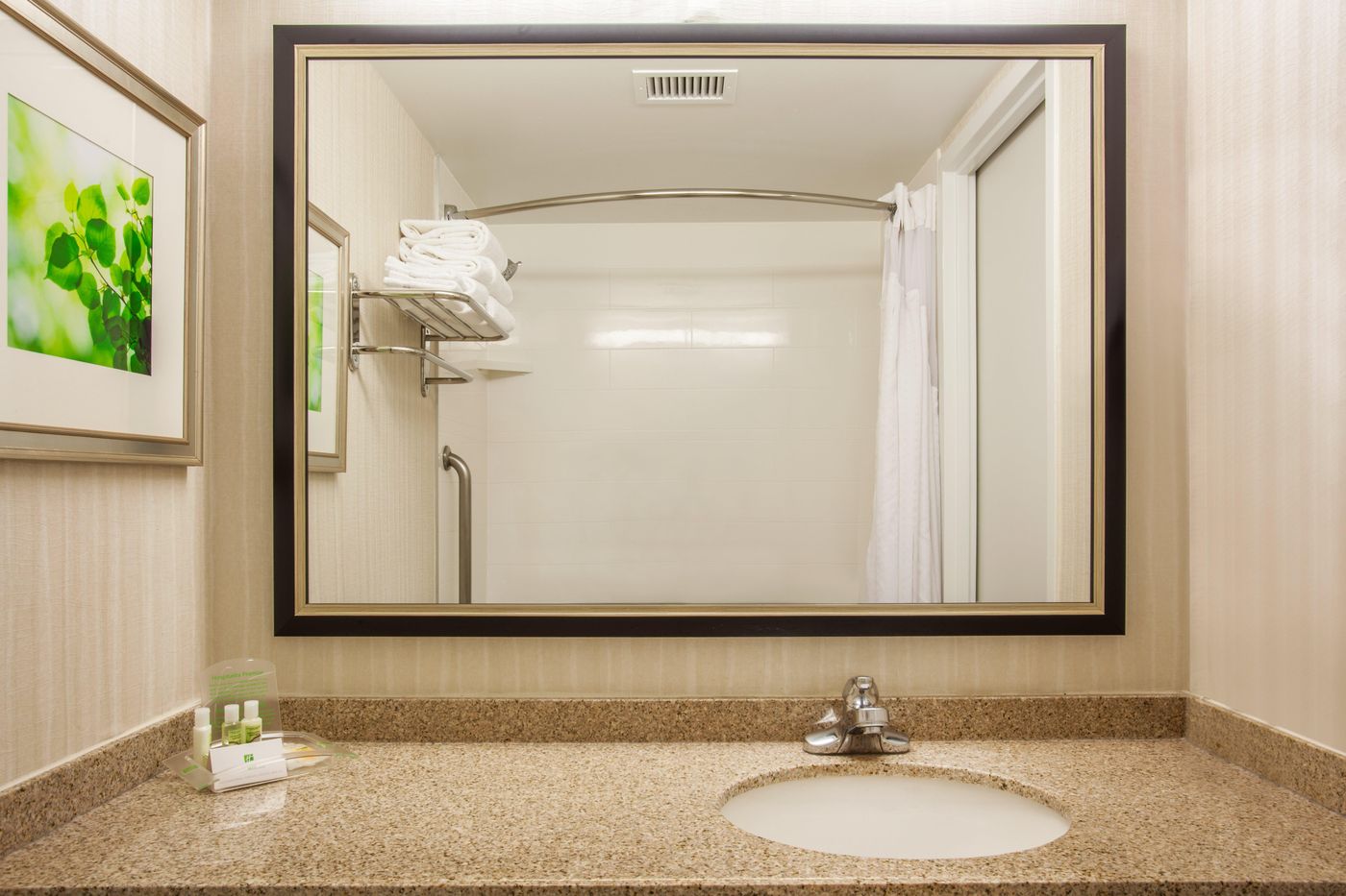 Holiday Inn Toronto International Airport-Canada-TORONTO-Room-8