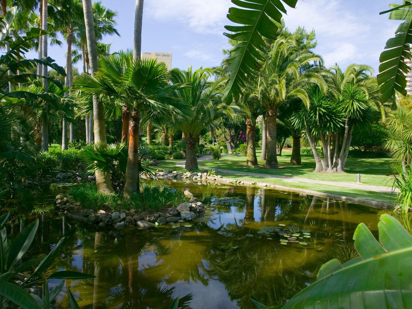 Don Carlos Leisure Resort & Spa