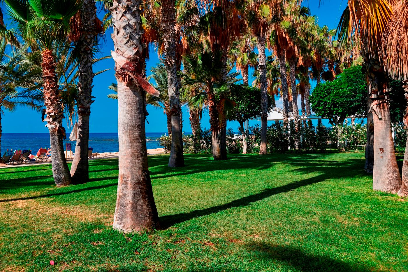 Louis-Phaethon-Beach-Beach-61