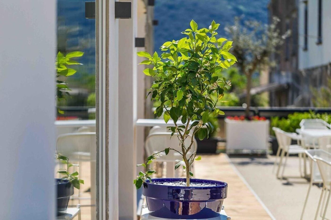 Domo20-Italy-VICO EQUENSE-General view-4