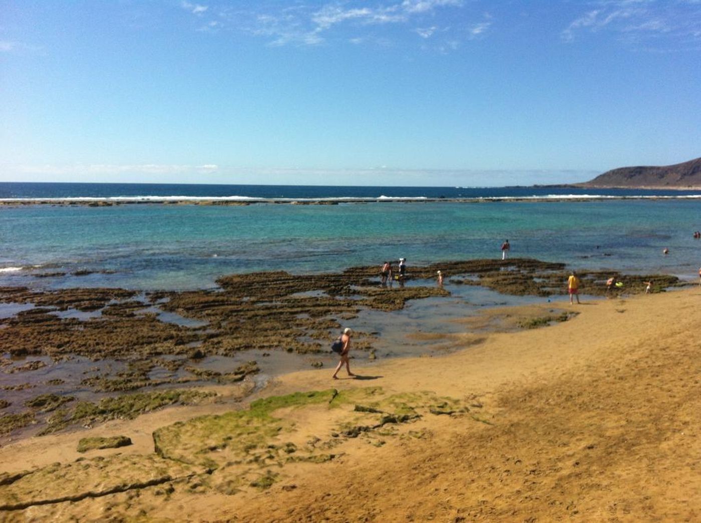 Miami-Las-Palmas-General-view-23