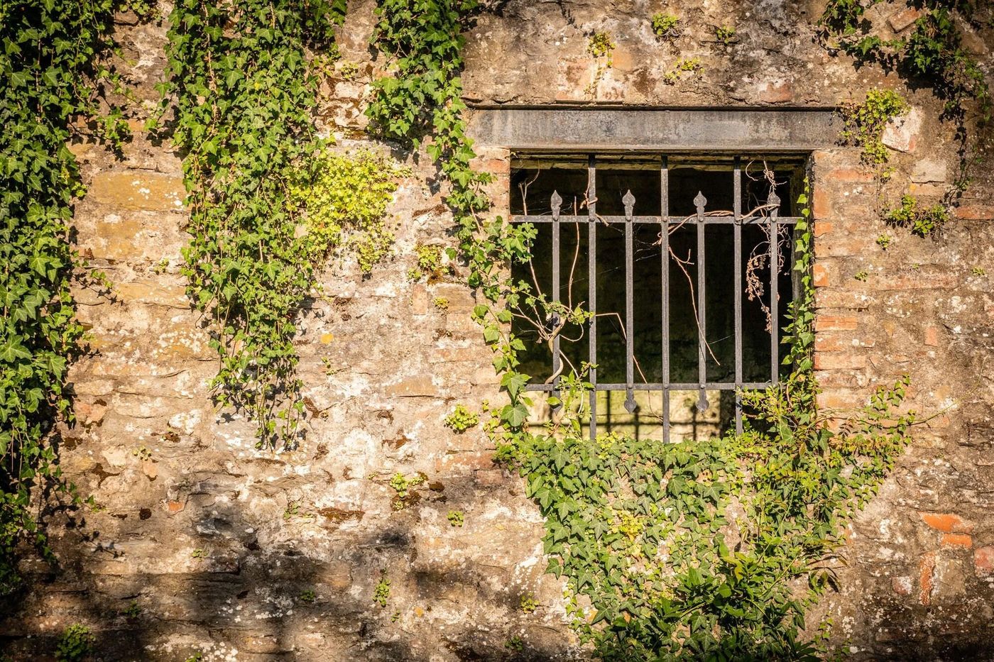 Casa-Volpi-General-view-47