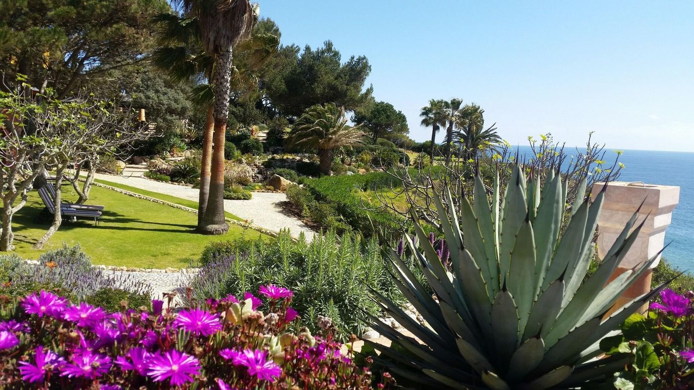 Boutique-Hotel-Miranda-Terrace-50