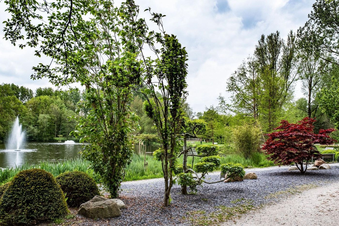 Element Amsterdam-Netherlands-AMSTERDAM-General view-4