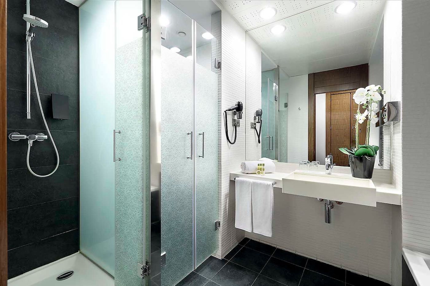 Rafaelhoteles-Madrid-Norte-Room-26