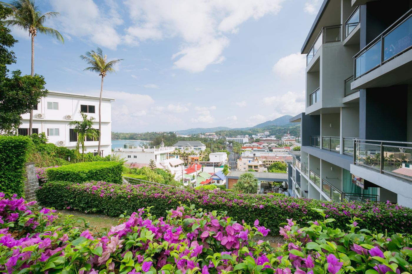 Sugar-Palm-Grand--Hillside-General-view-8