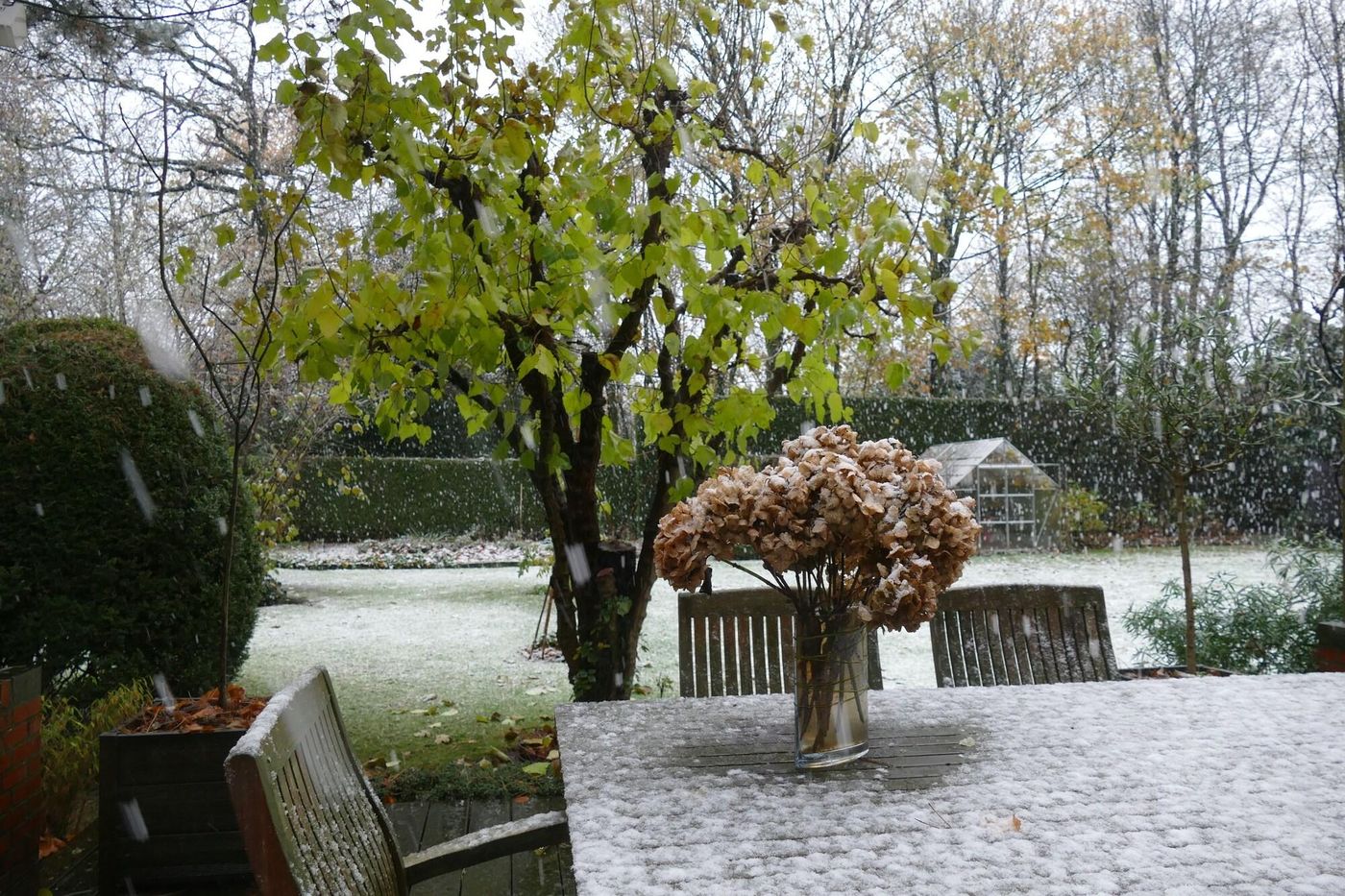 B&B Villa Emma-Belgium-GHENT-General view-8