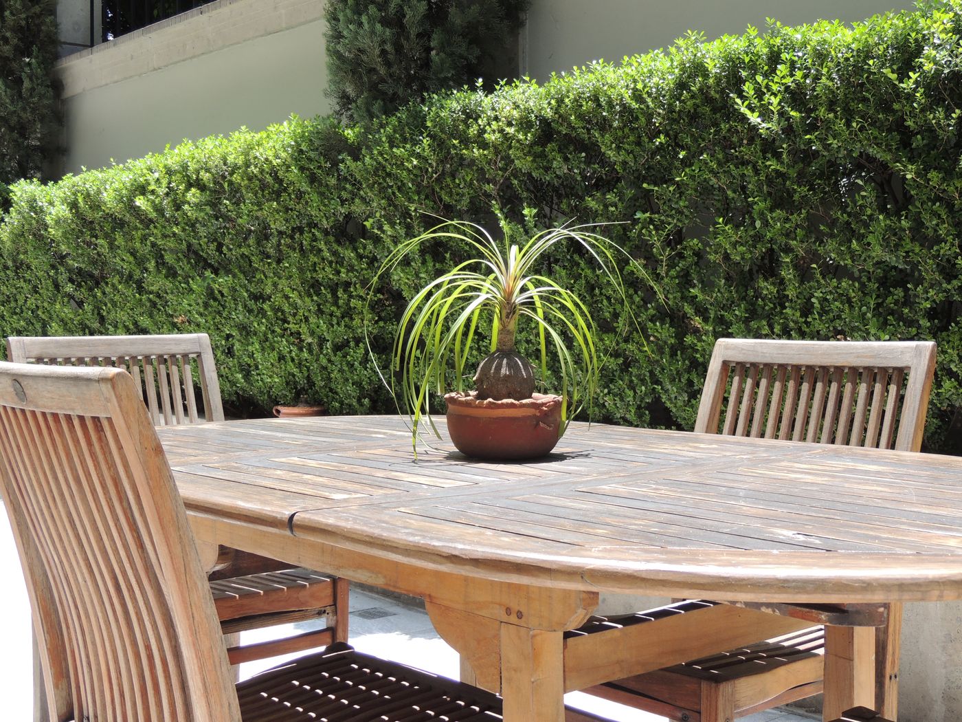 Suites Obelisk-Mexico-CIUDAD  DE MEXICO-Lobby-6