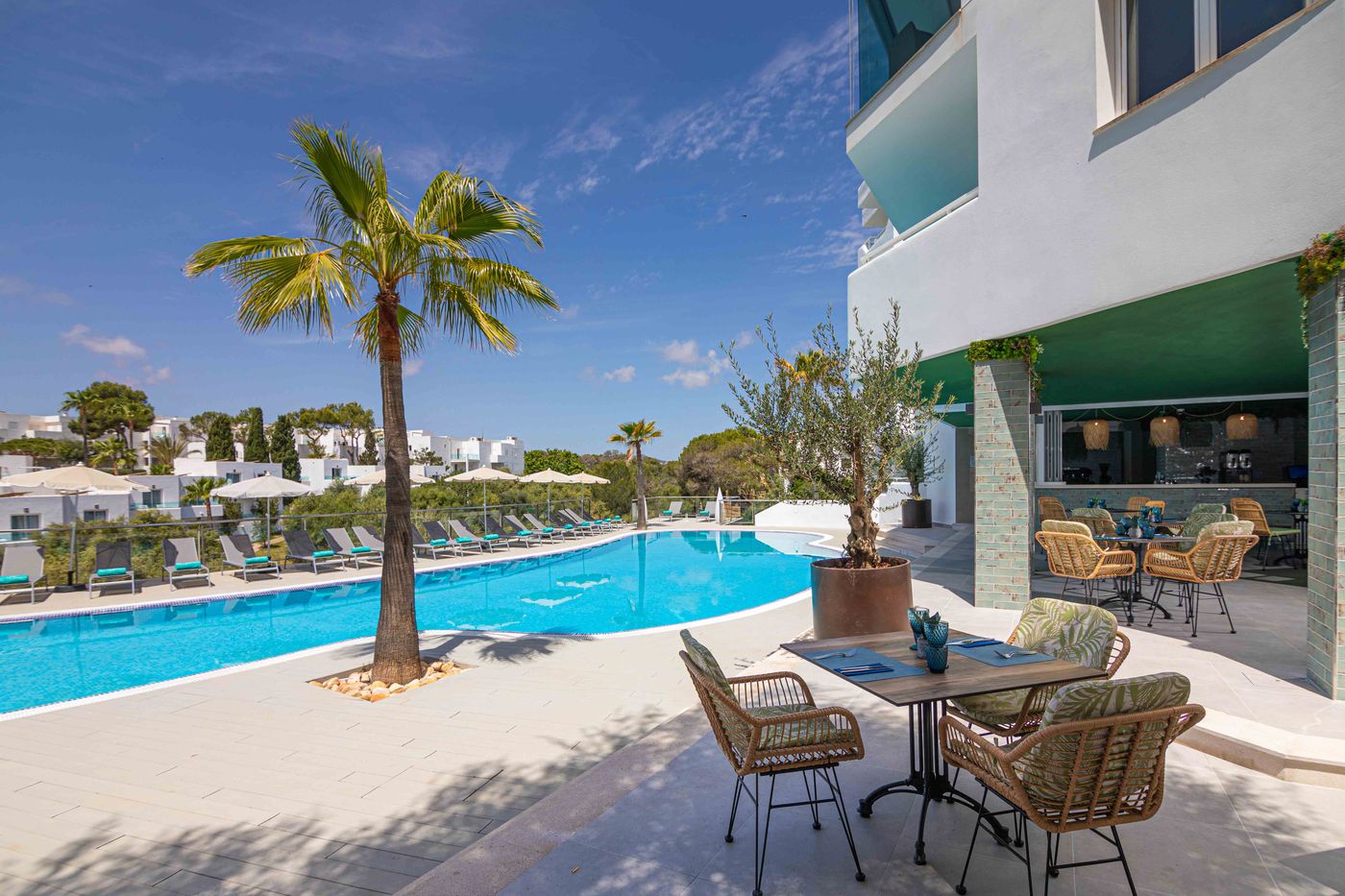 MarSenses Natura Olea 