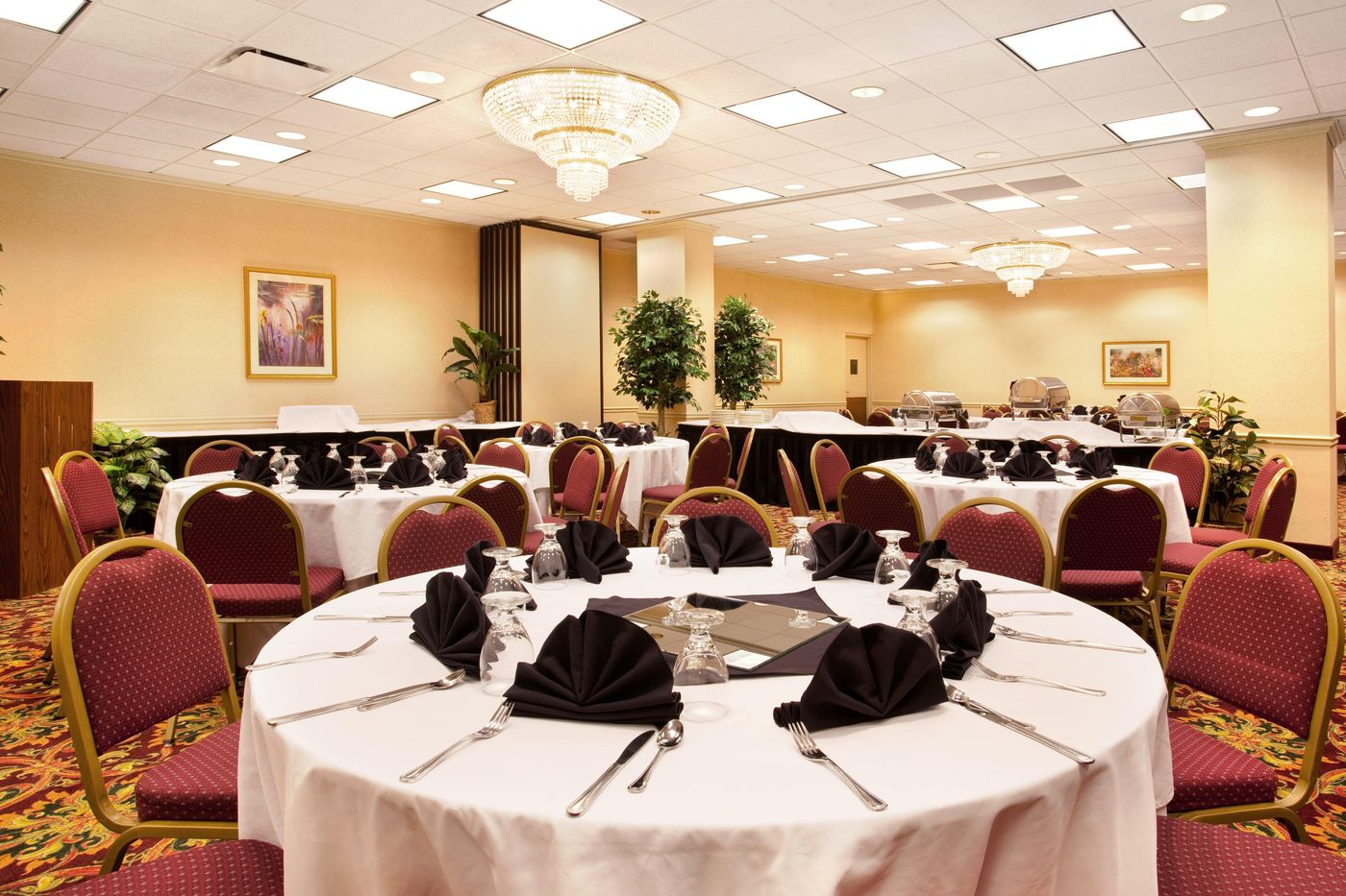 Holiday Inn and Suites Chicago-Downtown - United States - CHICAGO - Conferences - 3