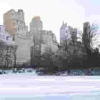 The Ritz-Carlton New York, Central Park, 5 of 6
