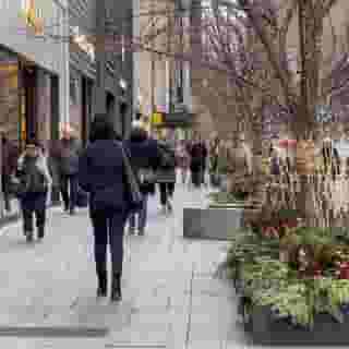 Bellair Yorkville, 2 of 6