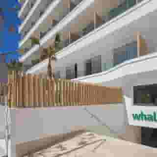 whala!fun, 1 of 6
