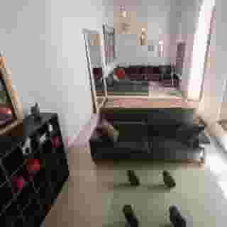 Riad Jaaneman, 2 of 6