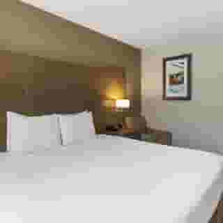 Best Western Brooklyn-Coney Island Inn, 4 of 6