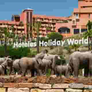 Holiday World RIWO Affiliated by Melia, 1 of 6