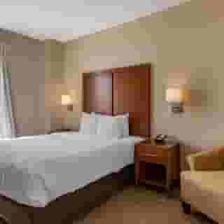 Comfort Suites Houston near Medical Center- Nrg Stadium, 3 of 6
