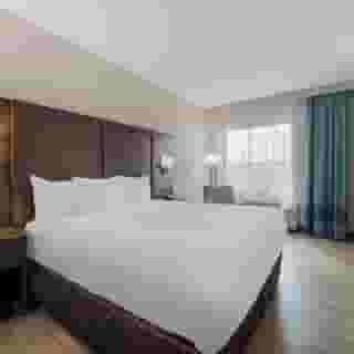 Comfort Inn & Suites Miami International Airport, 5 of 6