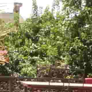 Riad Swaka, 5 of 6