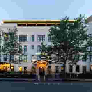 Hotel Hive, 3 of 6