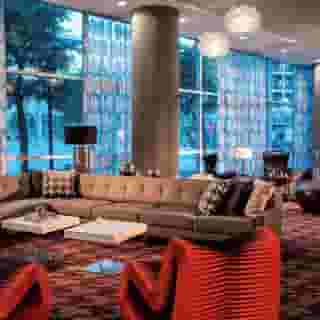 Renaissance Dallas Richardson Hotel, 6 of 6