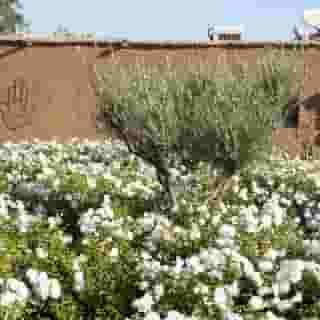 Ferme El Dar, 4 of 6