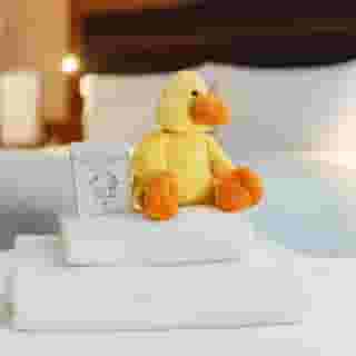 Sofitel London Heathrow, 6 of 6