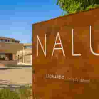 NALU Latchi Leonardo limited edition, 4 of 6