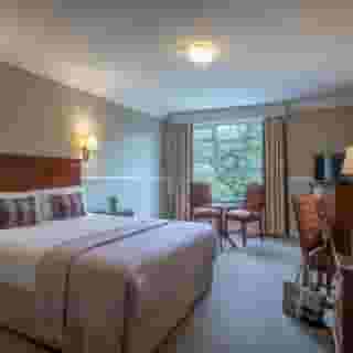 The Court Yard Hotel, 6 of 6