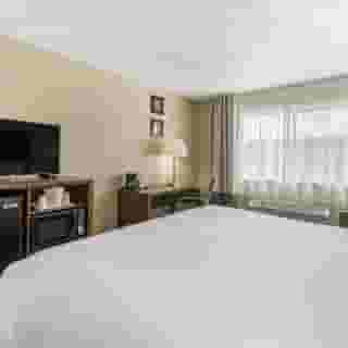 Comfort Inn & Suites Bothell - Seattle North, 4 of 6