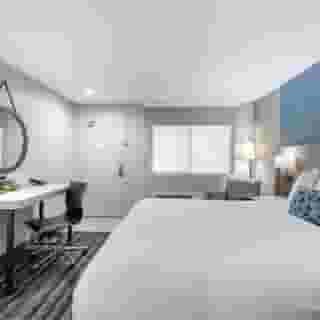 Best Western San Diego/Miramar Hotel, 3 of 6