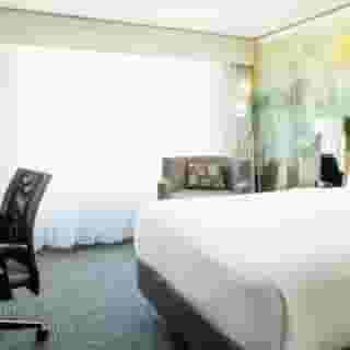 Courtyard by Marriott Chicago Magnificent Mile, 4 of 6