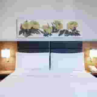 Hilton Garden Inn Tbilisi Chavchavadze, 4 of 6