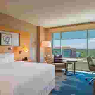The Westin At The Woodlands, 4 of 6