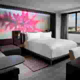 Marriott Miami Dadeland, 5 of 6
