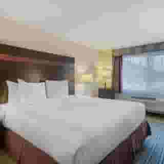 Best Western Alderwood, 4 of 6