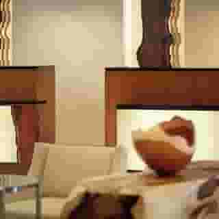Atlanta Marriott Northwest at Galleria, 4 of 6