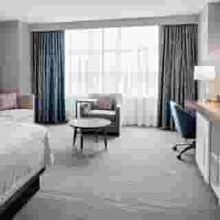 Hampton Inn Chicago McCormick Place, 3 of 6