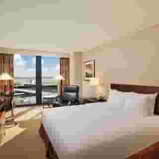 Hilton Chicago O'Hare Airport, 4 of 6