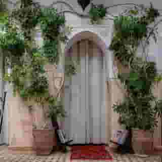 Riad Amegrad, 6 of 6