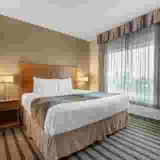 Best Western King George Inn & Suites, 5 of 6